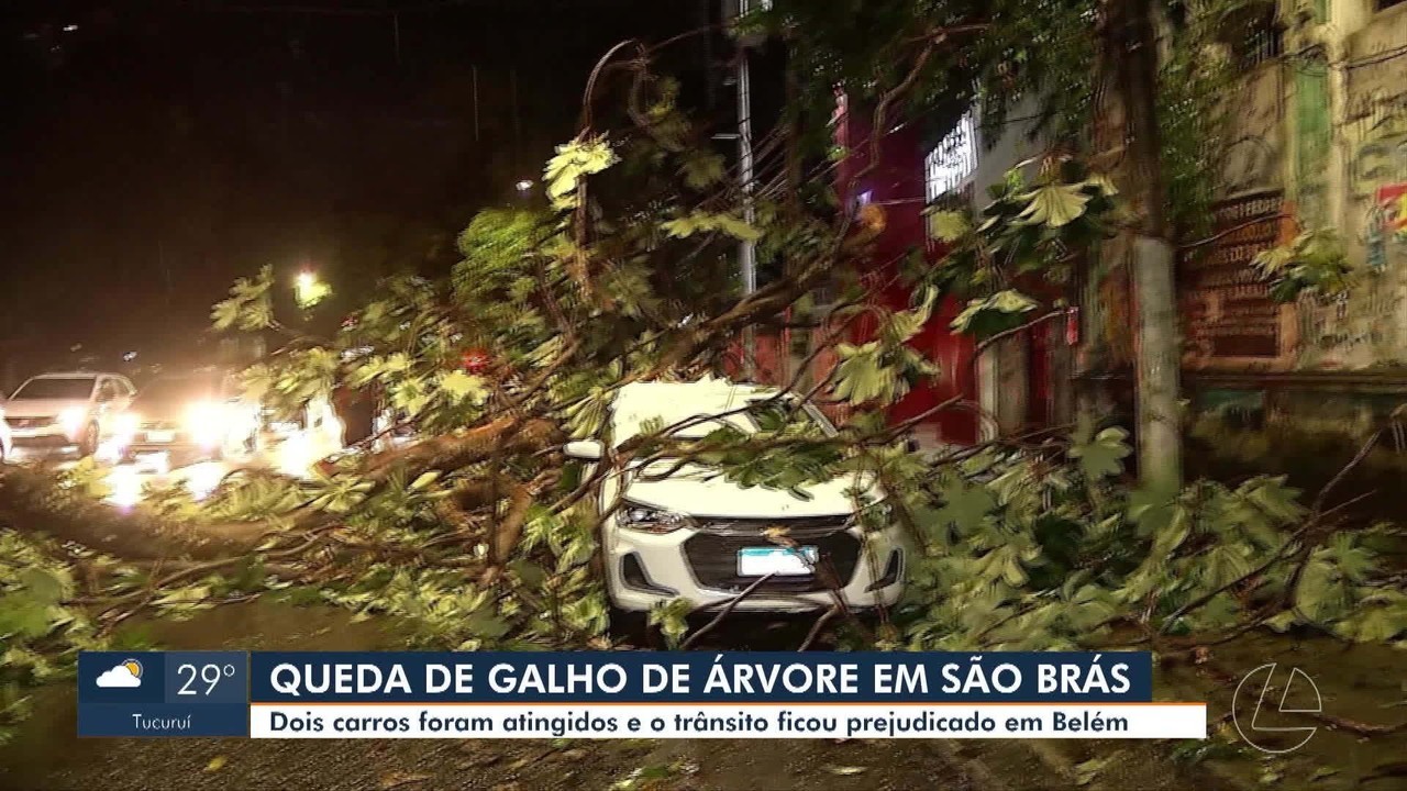 Árvore de 12 metros cai sobre carros e interdita parte da avenida Magalhães Barata, em Belém