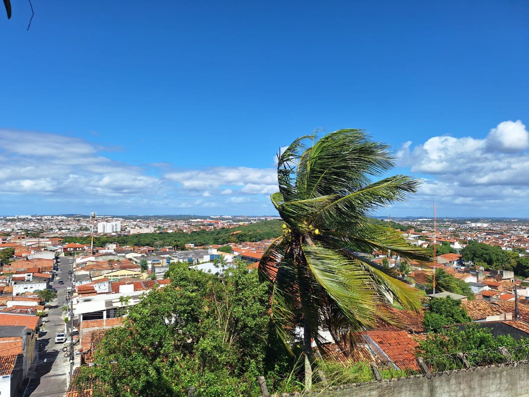 Sergipe deve registrar ventos de até 46 km/h e chuva fraca nesta semana