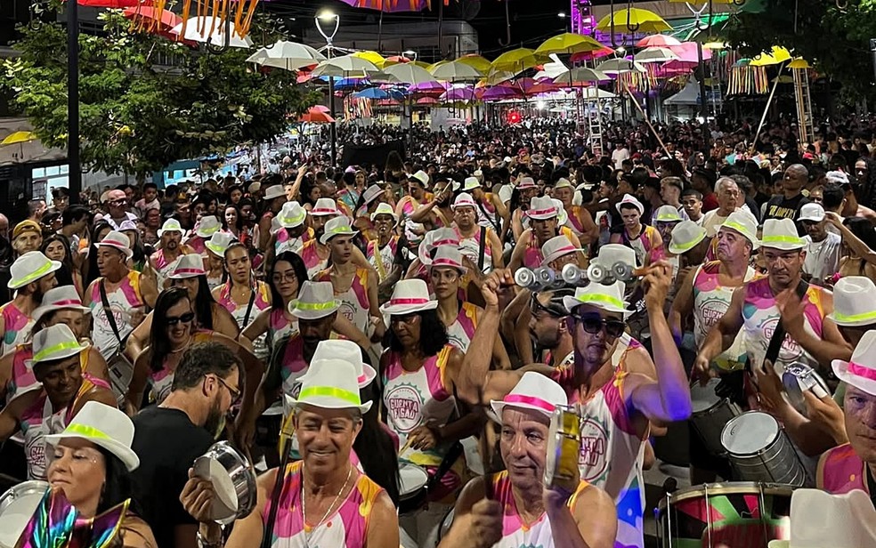 Bloco 'Guenta Figão' comemora 10 anos em Itamonte (MG) — Foto: Redes sociais