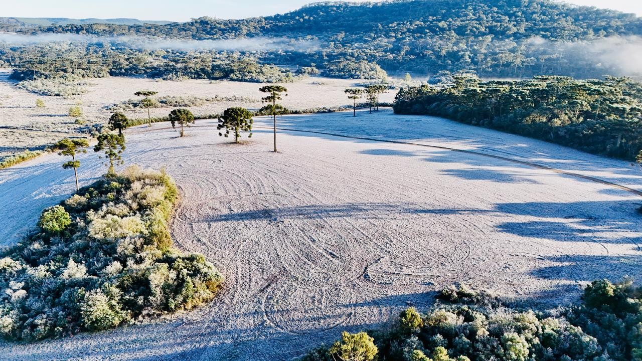 Frosts and negative temperatures are expected to return to Paraná; see when, where and the weather forecast by region