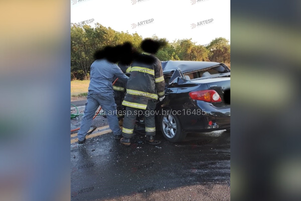 Batida frontal entre carro e caminhão deixa uma pessoa morta na SP-425, em Martinópolis