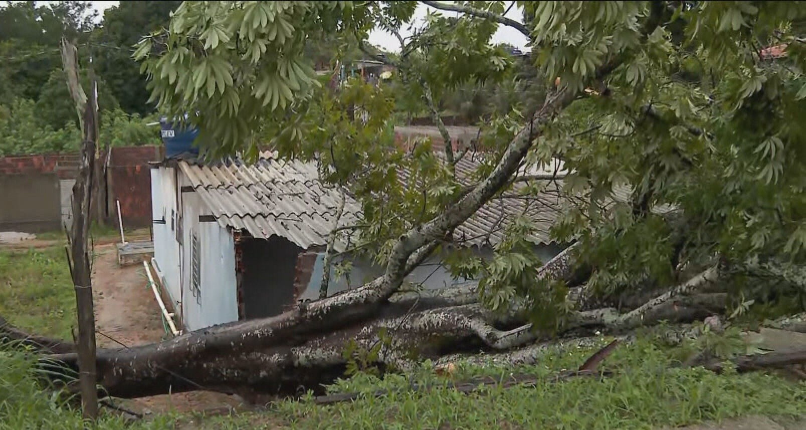 Chuva forte no Grande Recife deixa dois mortos, ruas alagadas e escolas e universidades sem aulas; FOTOS e VÍDEOS