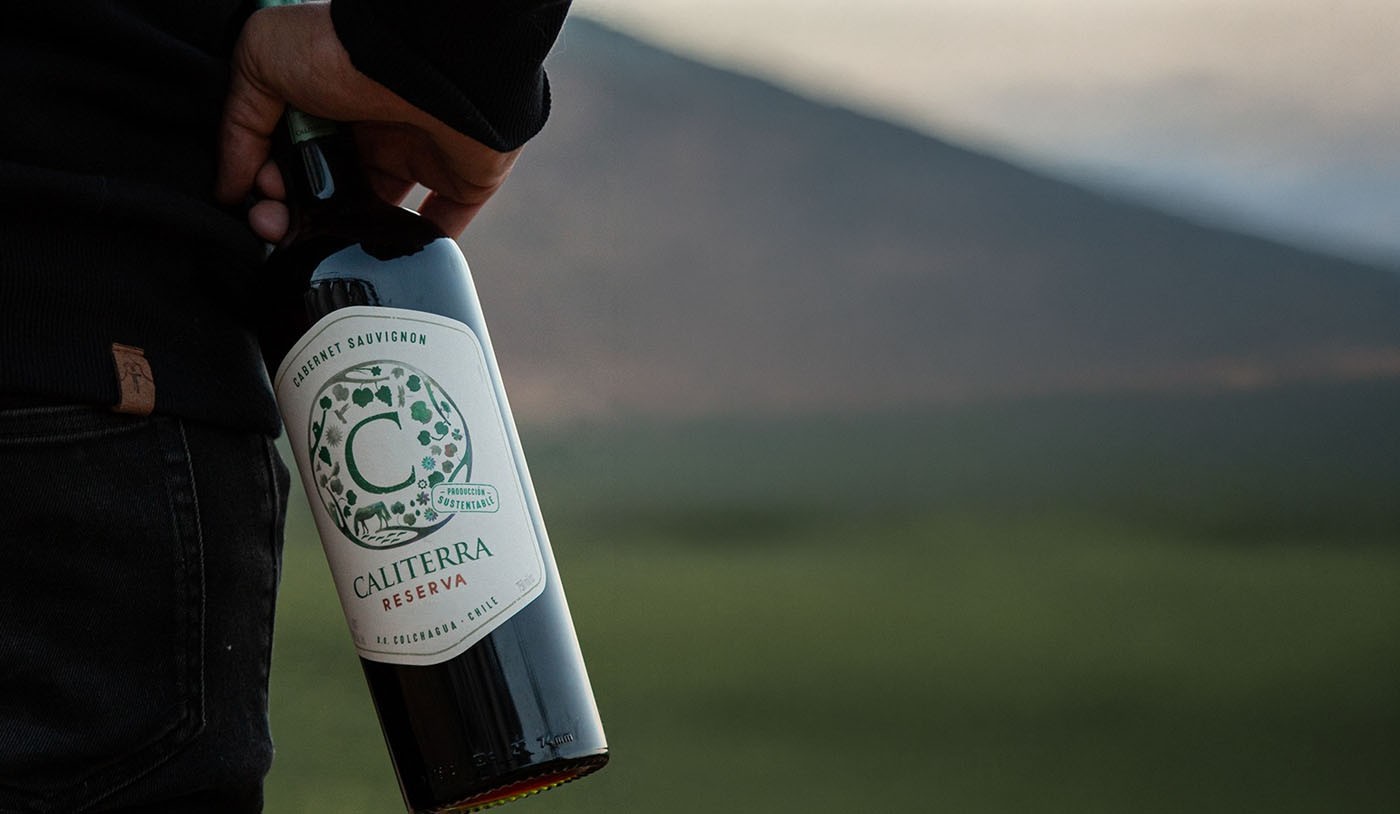 5 vinhos de Cabernet Sauvignon de excelente custo-benefício