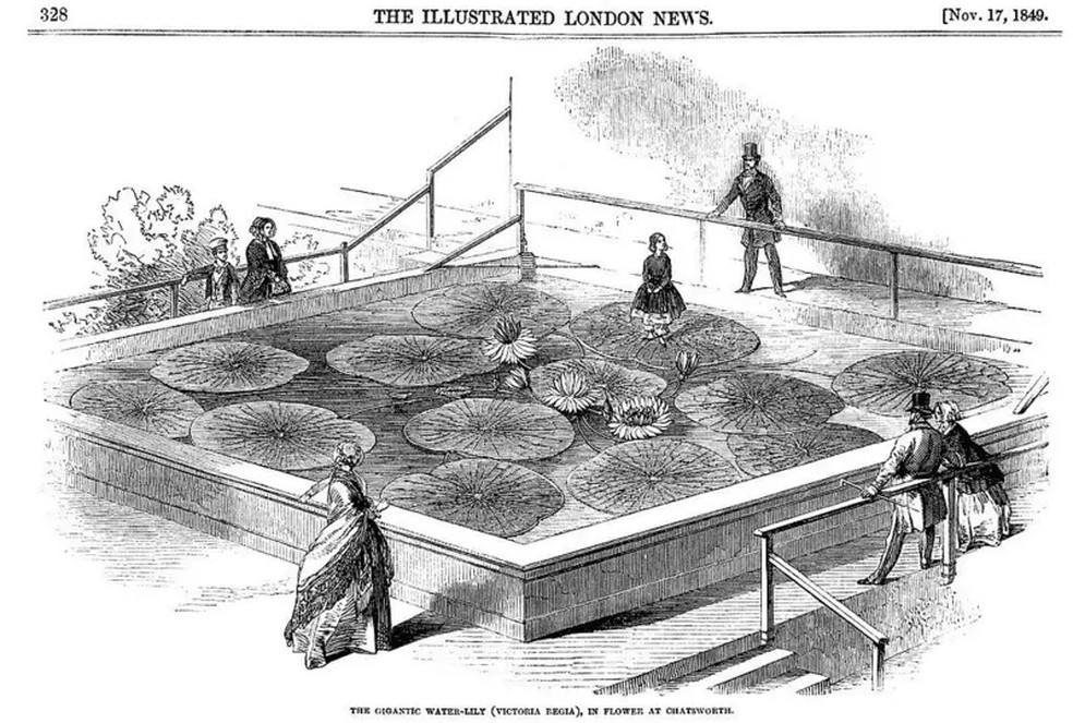 Paxton demonstrou o quão incríveis eram as folhas da vitória-régia, fazendo com que sua própria filha flutuasse sobre uma delas — Foto: Domínio Público