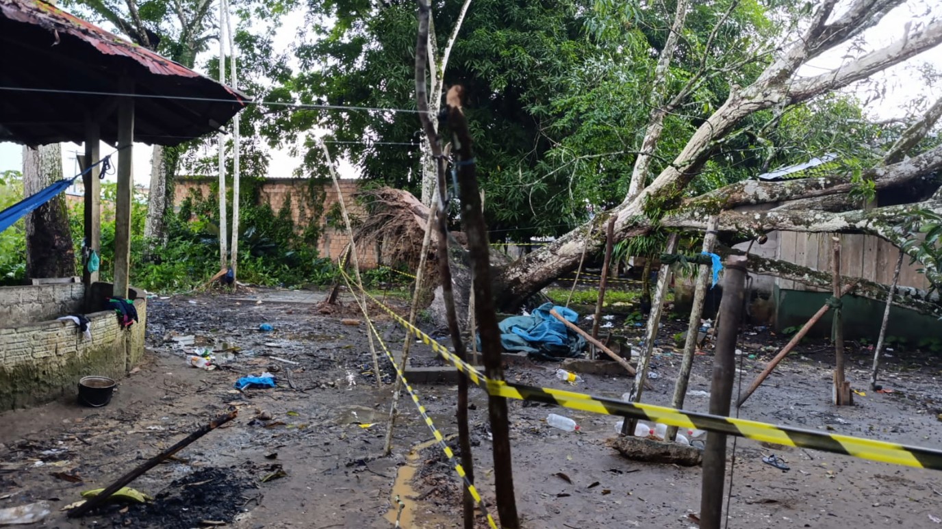 Temporal em Barcelos derruba árvore sobre alojamento improvisado de indígenas Yanomami