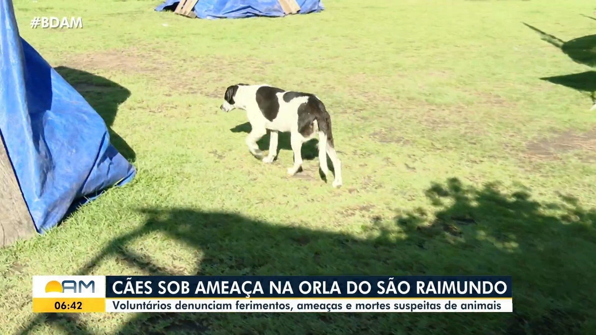 VÍDEOS: Bom dia Amazonas desta quinta-feira, 21 de maio de 2026