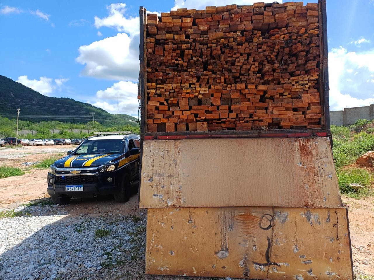 PRF apreende 210 m³ de madeira ilegal e resgata 137 aves em operação em rodovias no Sertão 