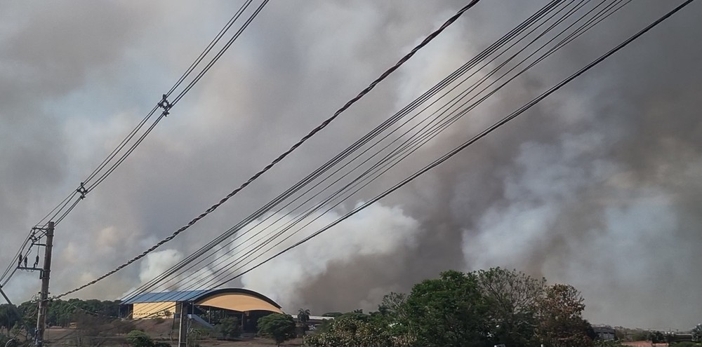 Queimada de 9 horas destrói grande área de pastagem em Tanabi-SP
