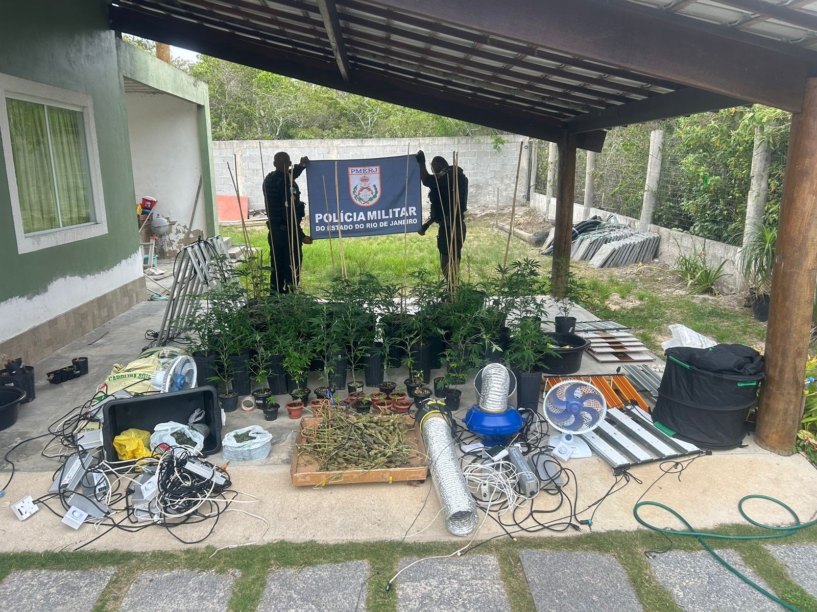 Estufa com 76 pés de maconha é descoberta pela PM em Cabo Frio