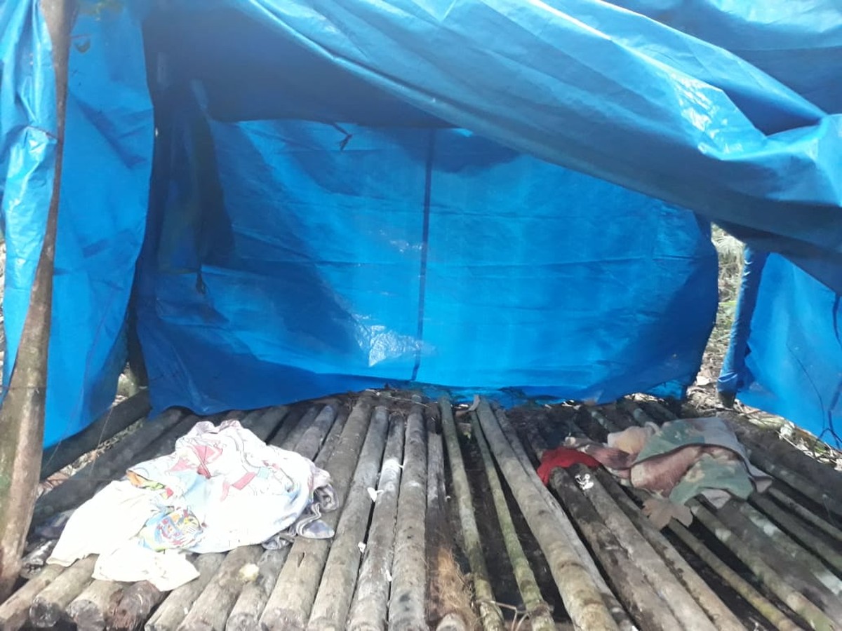 Cães farejadores ajudam a encontrar barraca usada como esconderijo por