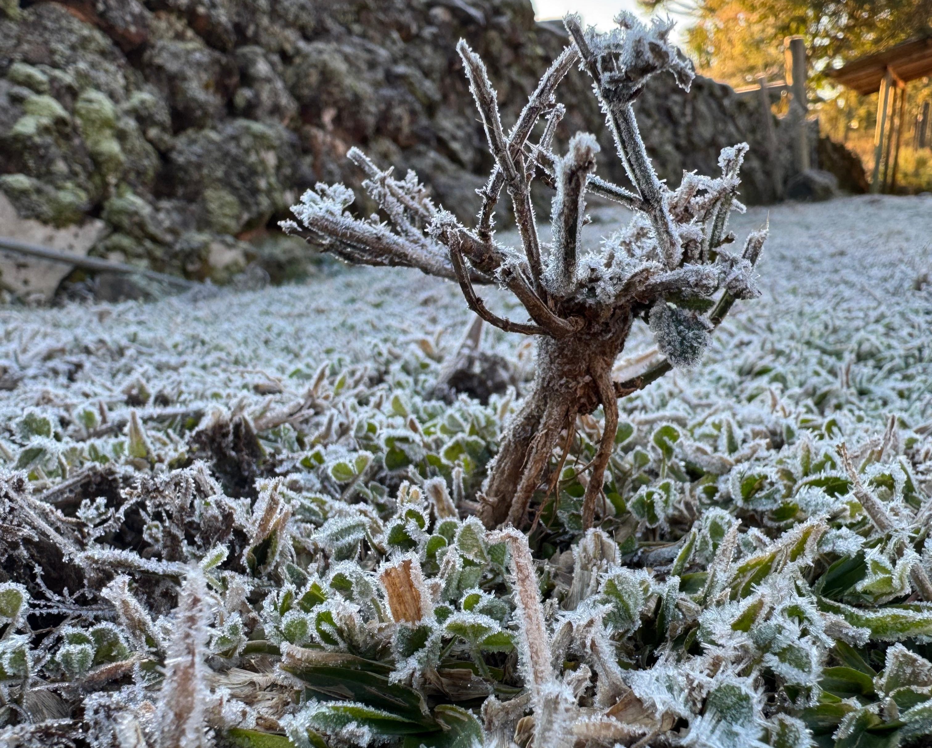 Capital Nacional do Frio, Urupema tem amanhecer com geada e mínima de -5ºC