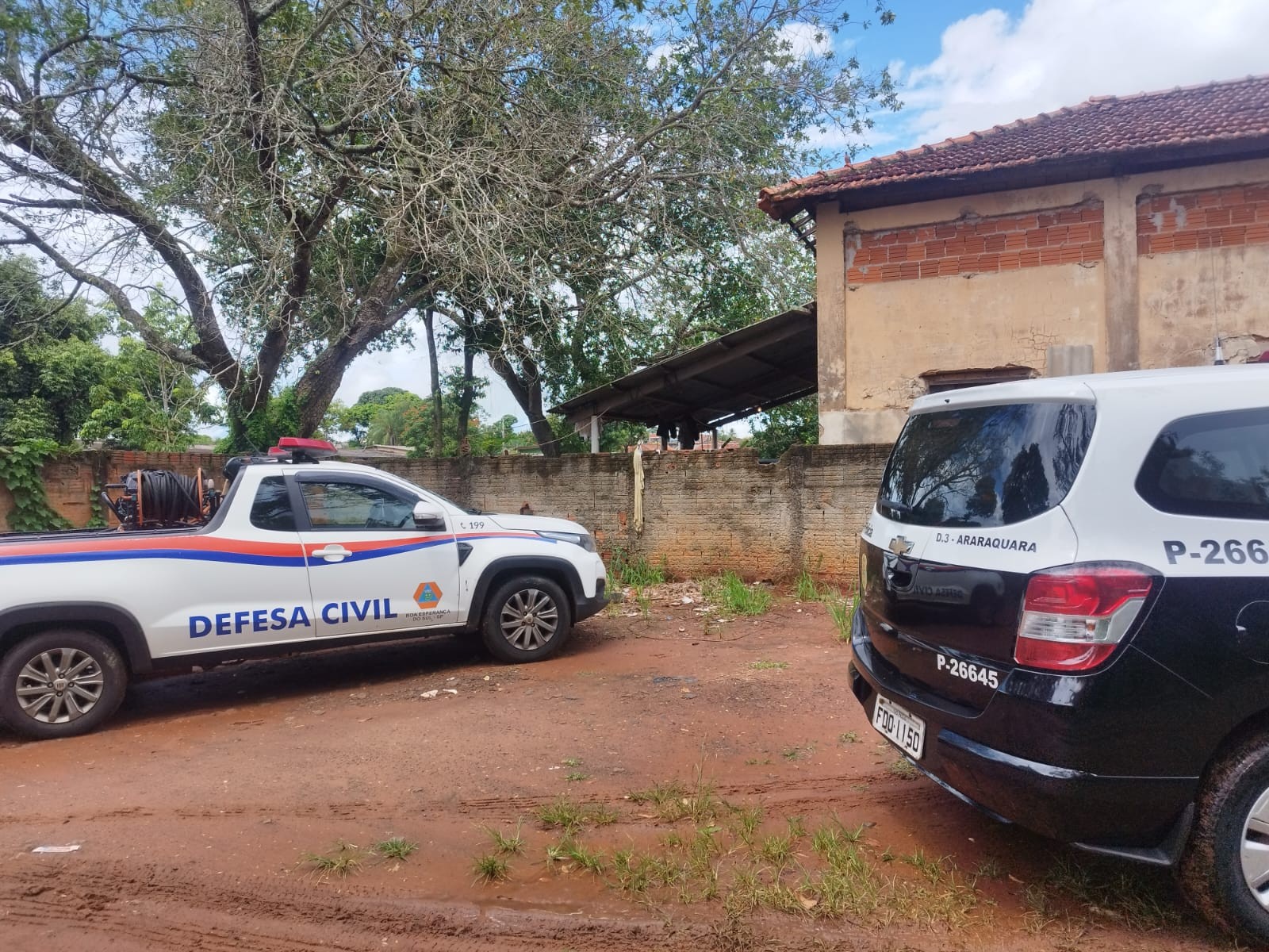 Cachorro comunitário de clube é assassinado a tiro no interior de SP 