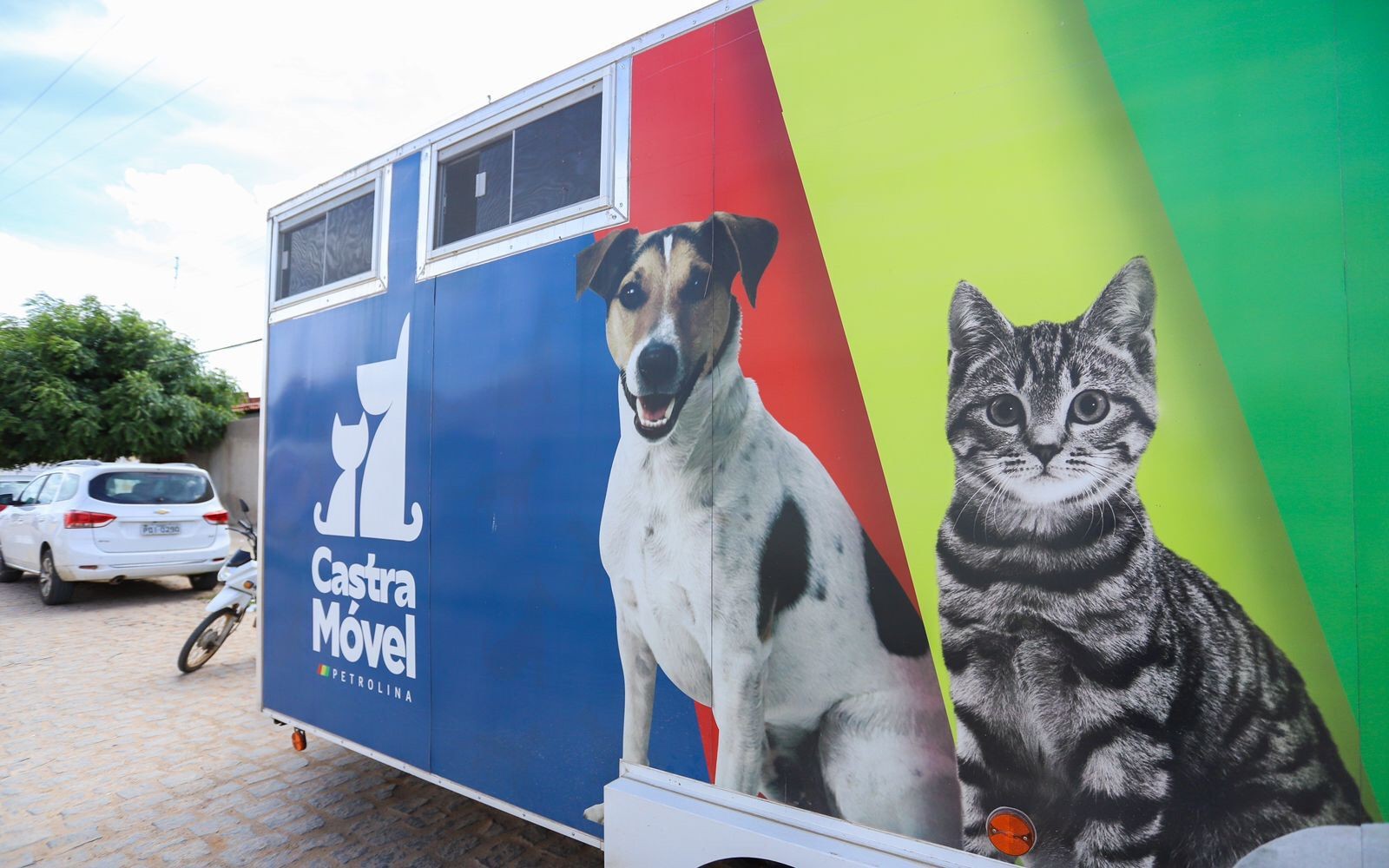 Castração gratuita de cães e gatos é oferecida em Petrolina neste sábado (4)