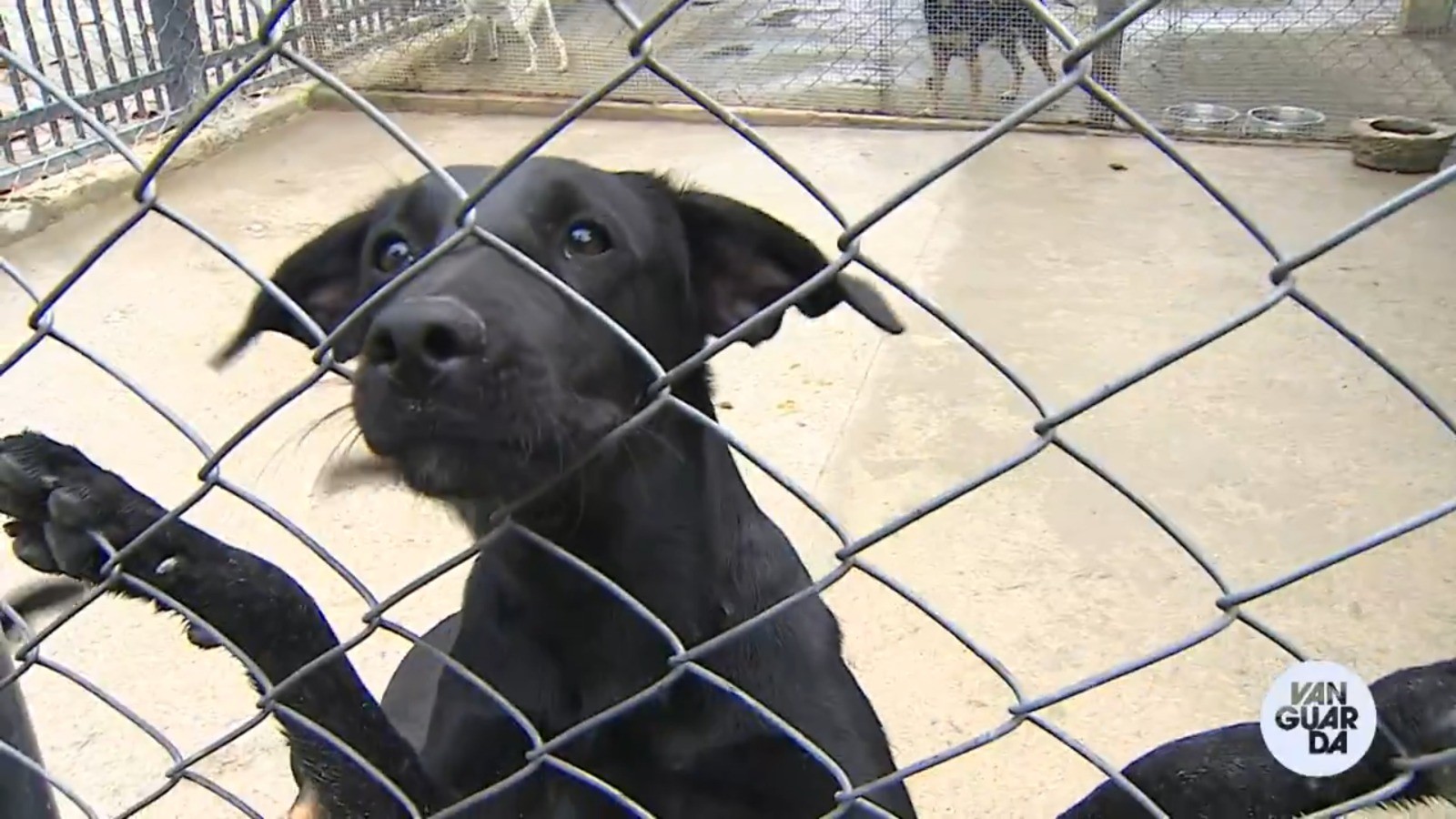 Você Não Tá Convidada pro Meu Bat Mitzvá!