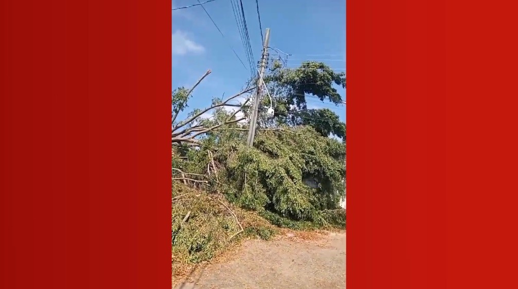 Árvore caída sobre poste deixa moradores sem energia em Taubaté