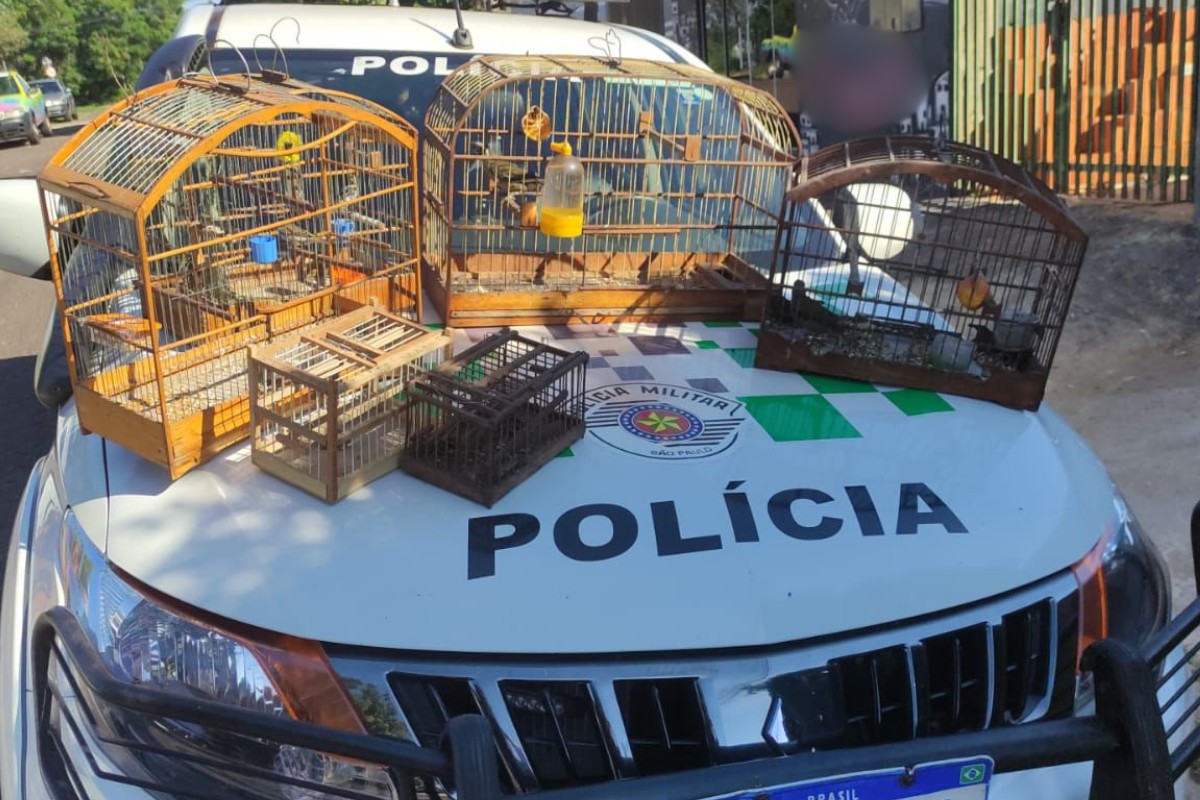 Homem é multado em R$ 2 mil por manter aves silvestres em cativeiro no interior de SP