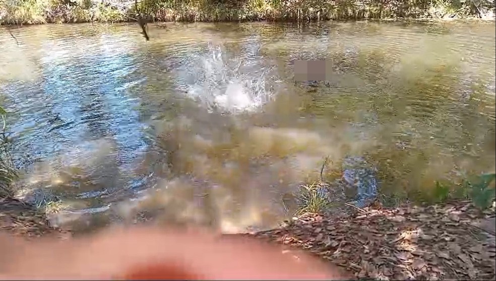 Banho Sariema, zona rural de Monsenhor Gil, no Piauí — Foto: Reprodução