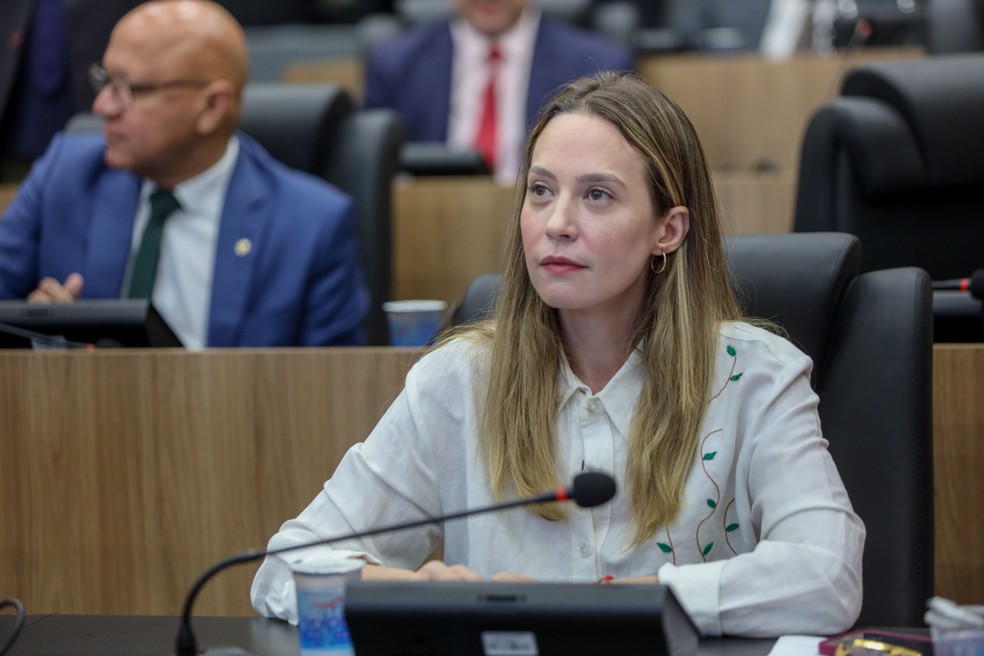 Vanessa Tapety, suplente de deputada estadual pelo MDB — Foto: Divulgação/Alepi