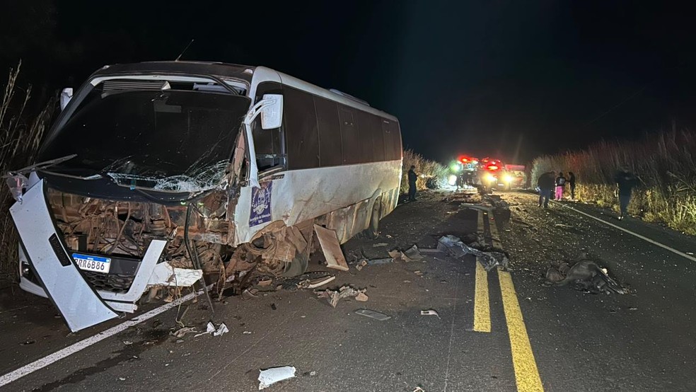 Acidente entre carro e micro-ônibus deixou dois mortos em MT — Foto: Divulgação