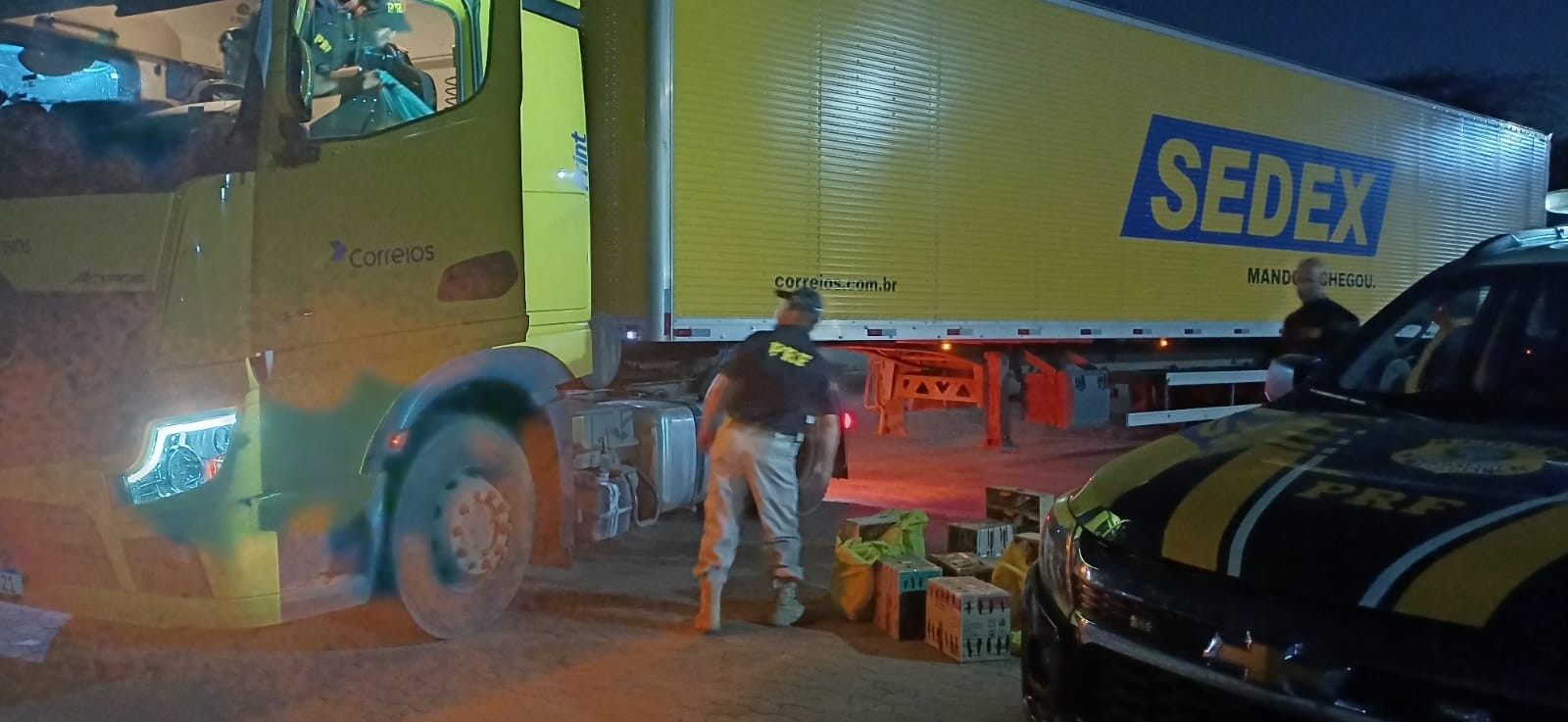 Pássaros e comprimidos de rebite são apreendidos em carreta dos Correios em Montes Claros