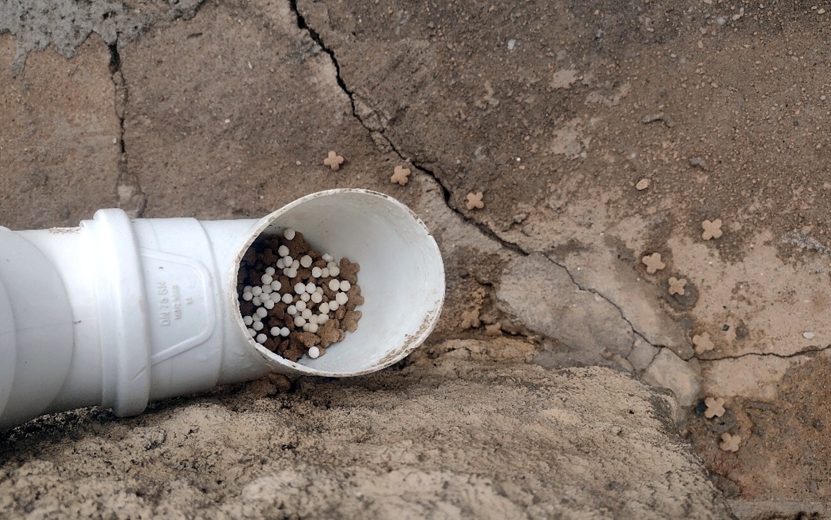 Polícia Civil investiga suspeita de envenenamento de gatos em Varginha, MG