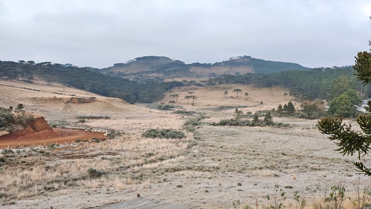 SC tem amanhecer de -5,6°C com geada e avanço de massa de ar frio