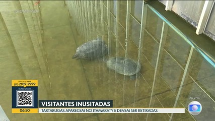 VÍDEOS: Bom Dia DF de quinta-feira, 24 de setembro de 2026 - imagem 3