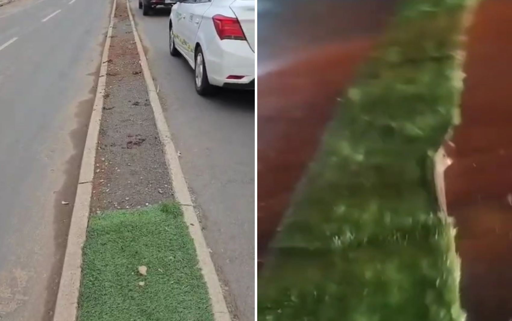 Grama sintética instalada pela prefeitura é arrancada de canteiros após forte chuva, em Goiânia 