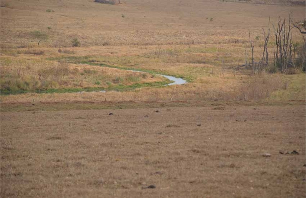 Crime aconteceu em uma propriedade rural em Paraguaçu Paulista — Foto: I7 Notícias/ Divulgação