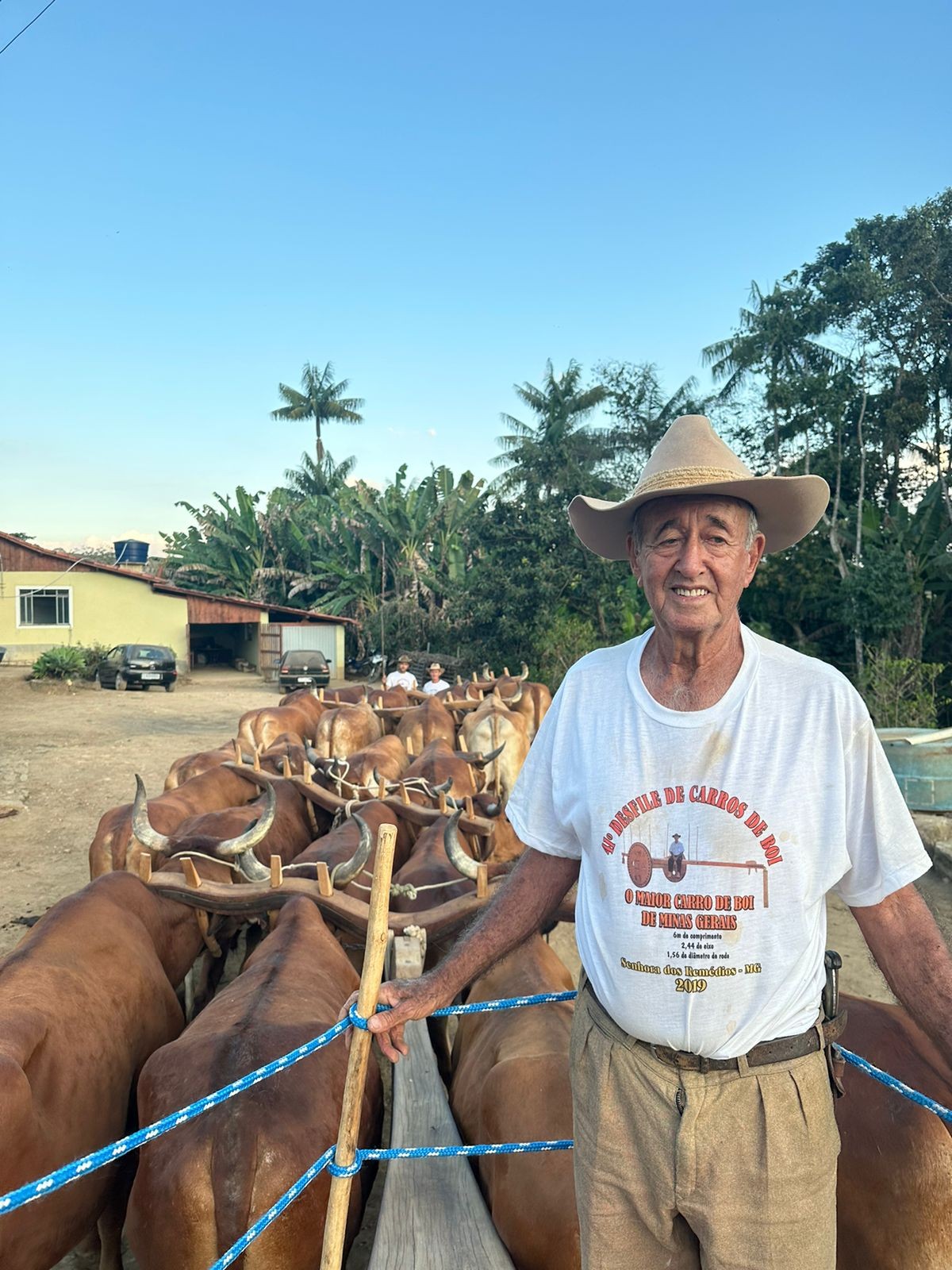 Mineiro cria carro de boi gigante que precisa ser puxado por 20 animais: ‘o maior do mundo’, diz inventor