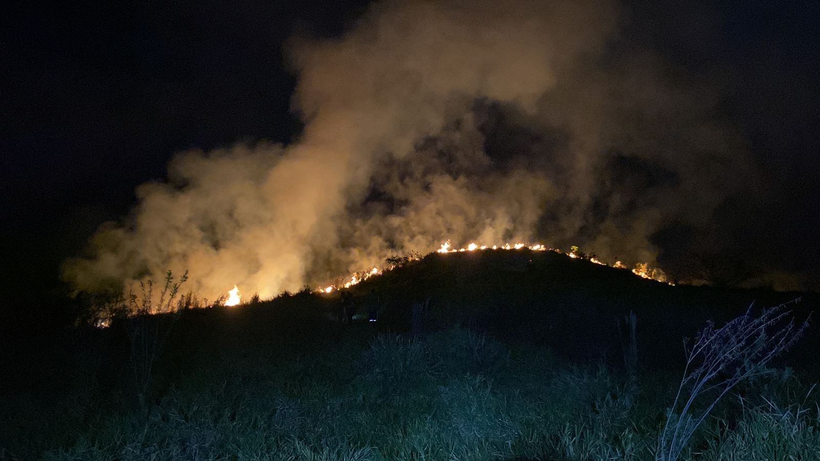 Defesa Civil faz vistoria em área de mata de 100 mil m² atingida por incêndio em Taubaté