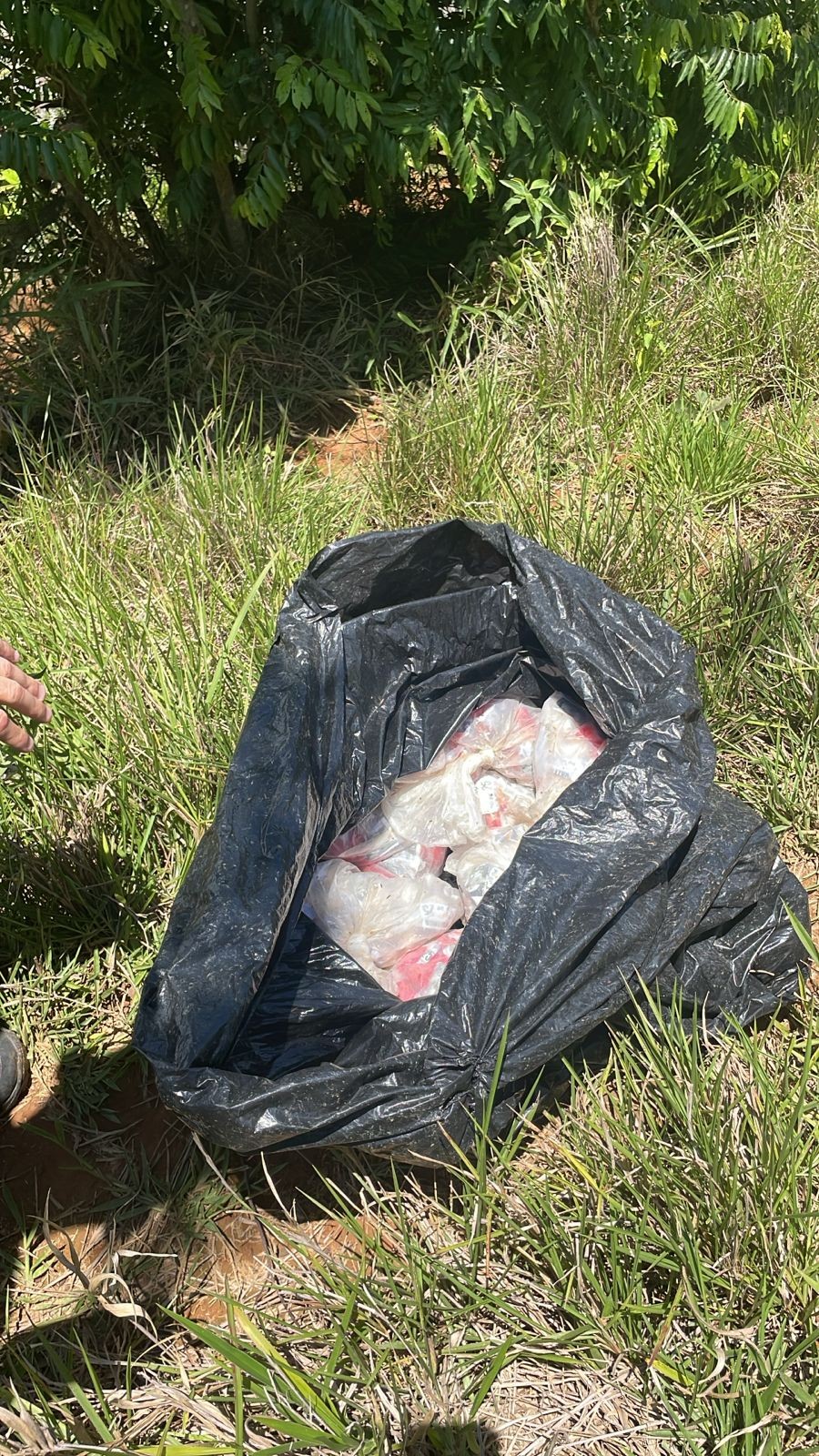 Homem é preso com quase 1 kg de cocaína em área de mata em Valença