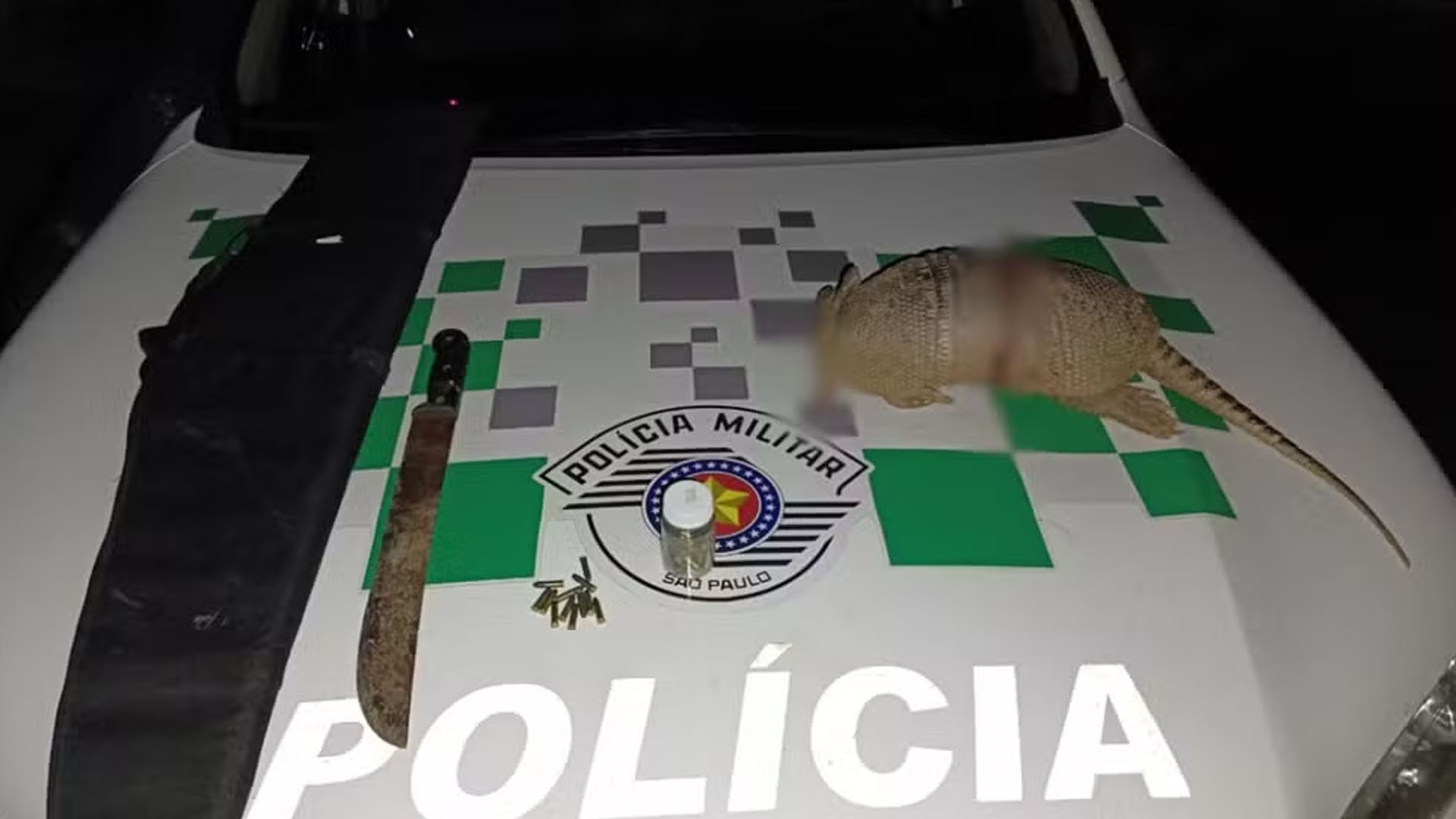 Trio é multado em R$ 3 mil por morte de tatu em área de proteção ambiental no interior de SP