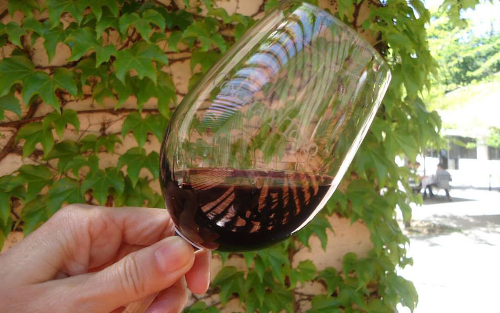 Abertas inscrições para Encontro de Produtores de Vinhos do Nordeste e Feira Sertão de Vinhos 