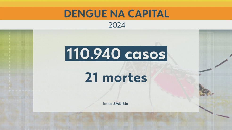 A cidade do Rio de Janeiro registrou, no ano passado, 110.940 casos e 21 mortes, de acordo com dados da Secretaria Municipal de Saúde. — Foto: Reprodução/ TV Globo