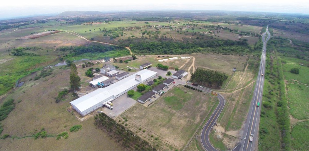 Avigro: destaque no mercado