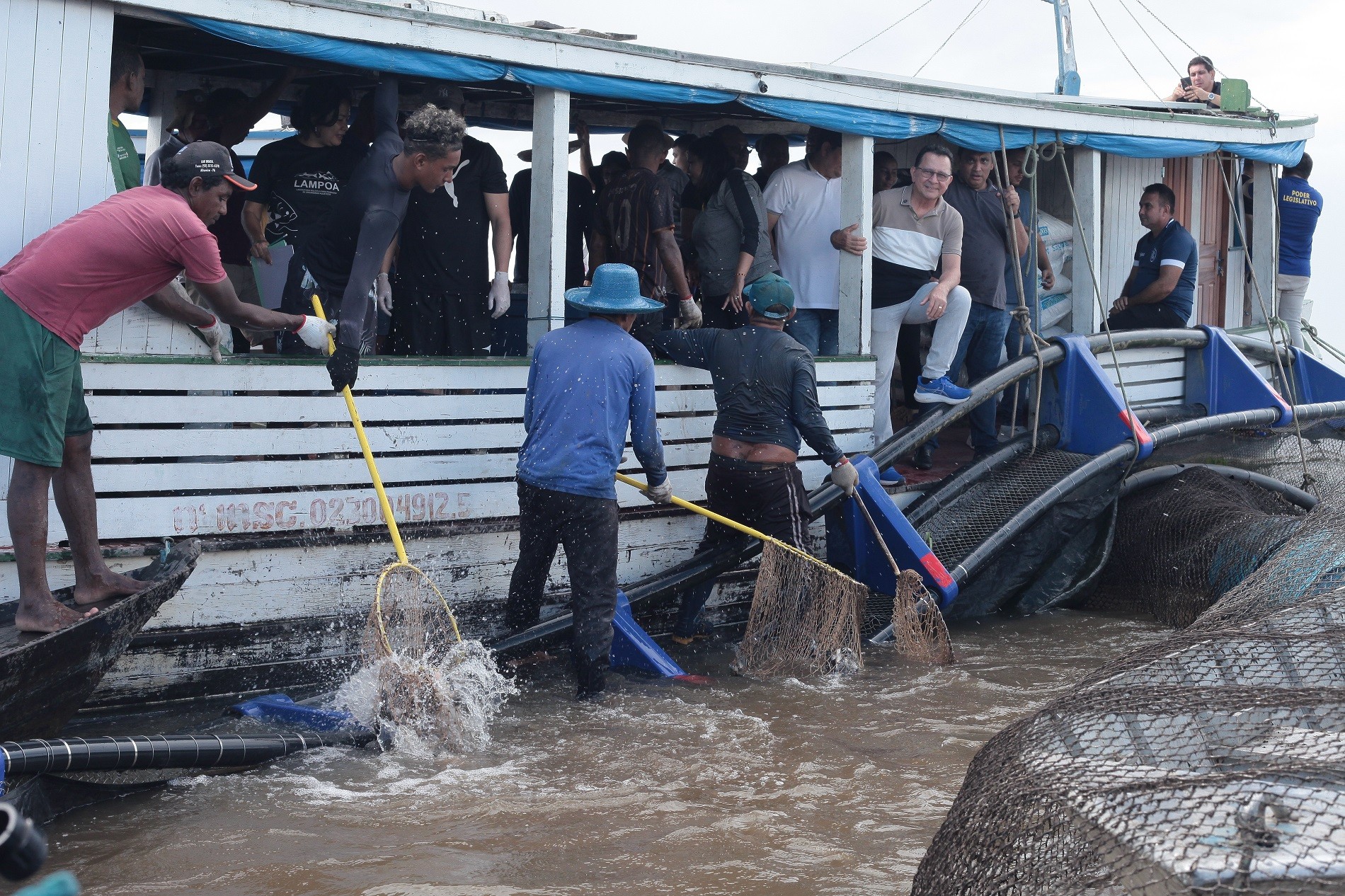 Despesca de Tambaqui e Pirapitinga no Tapará: Avanço na Aquicultura