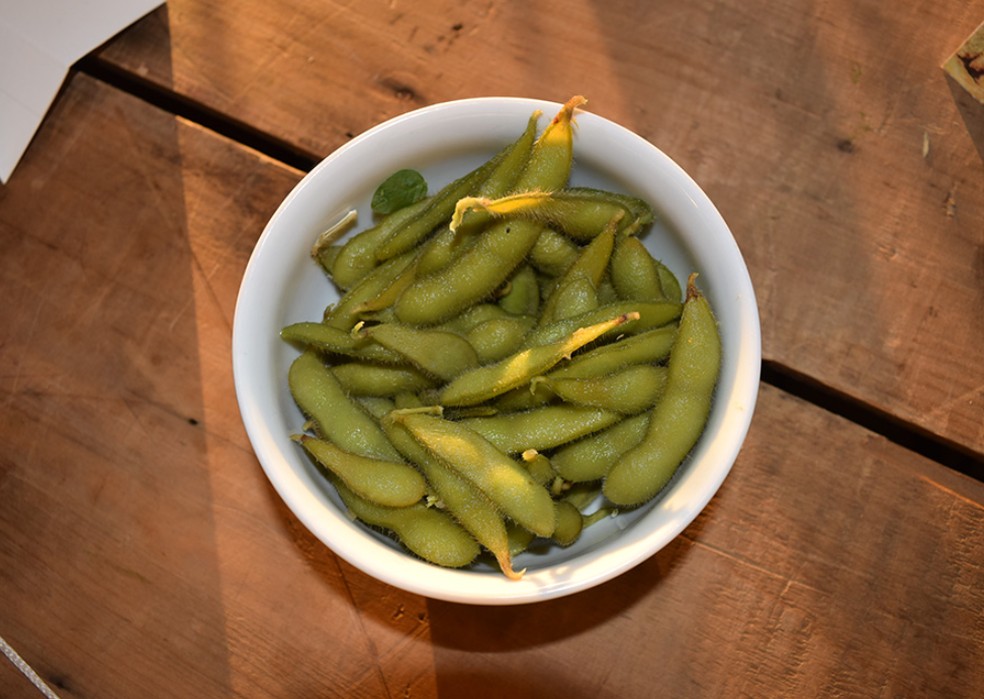 Imagem ilustrativa de Edamame. — Foto: Embrapa/Divulgação