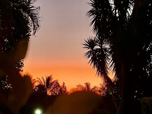 FOTOS: 115 dias sem chuva mudam paisagem em Brasília | G1