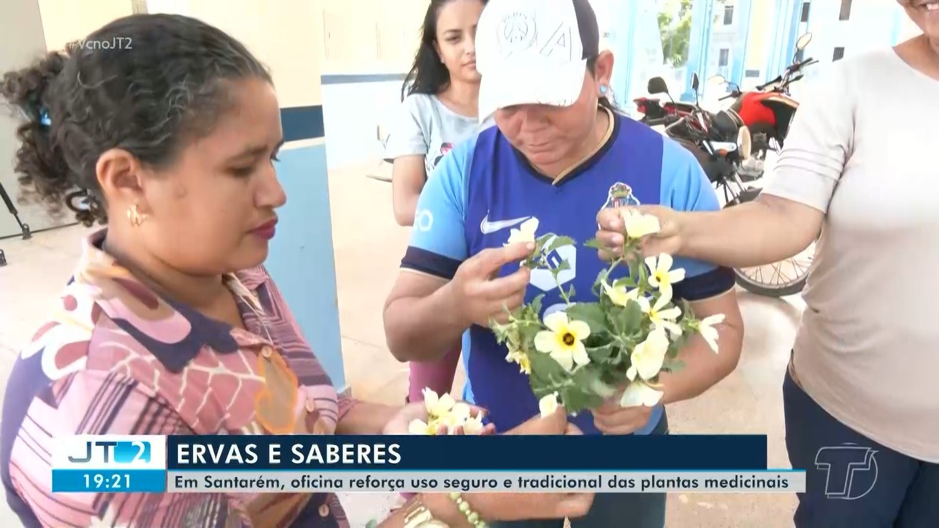 Oficina em Santarém reforça uso seguro de plantas medicinais e valoriza saberes da Amazônia