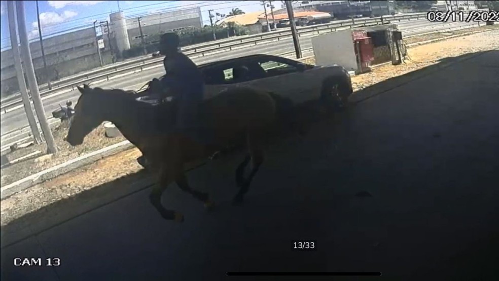 Homem mata caseiro de propriedade, rouba cavalo e acaba preso em
