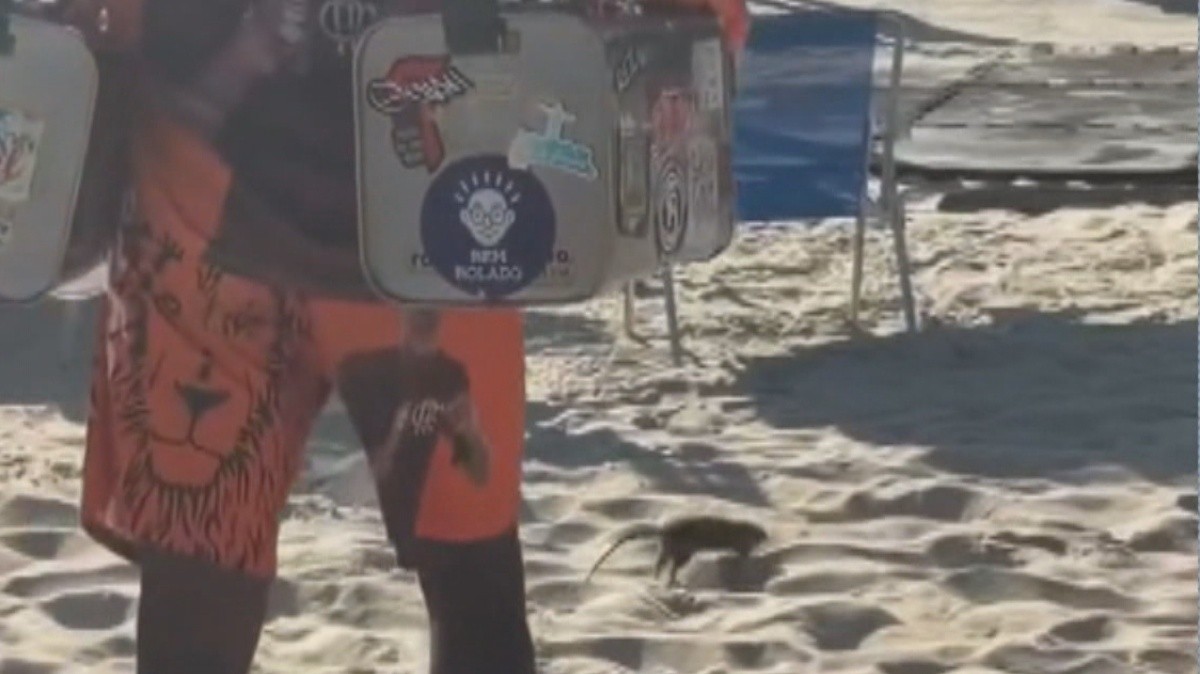 Rato de praia: roedor ‘passeia’ entre banhistas nas areias do Leblon