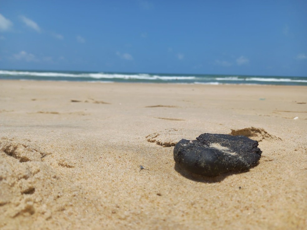 Pesquisadores do Labomar/UFC encontraram óleo na Praia do Futuro, em Fortaleza. — Foto: Labomar/UFC/Reprodução