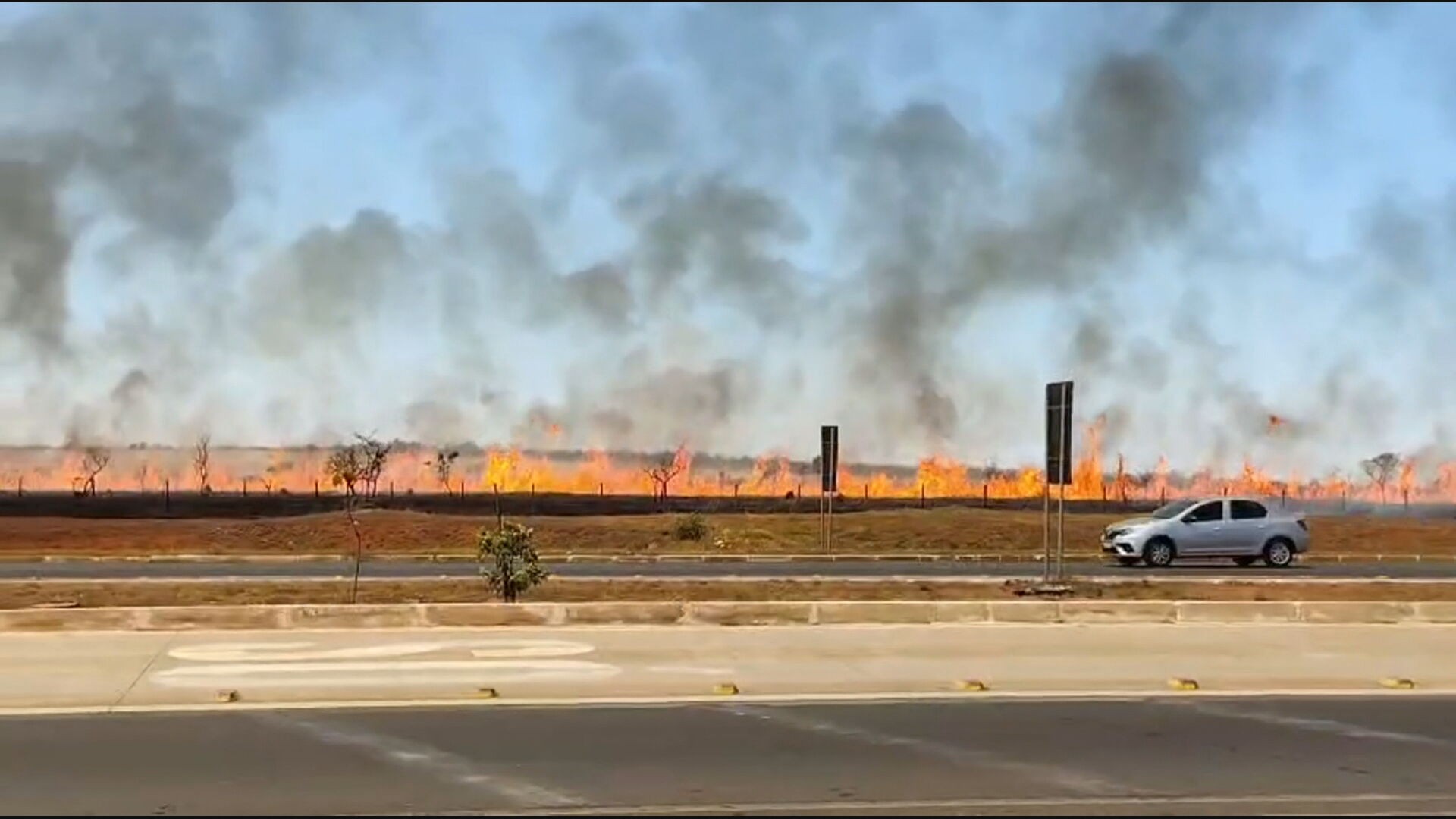 VÍDEO: incêndio de grandes proporções atinge vegetação no DF