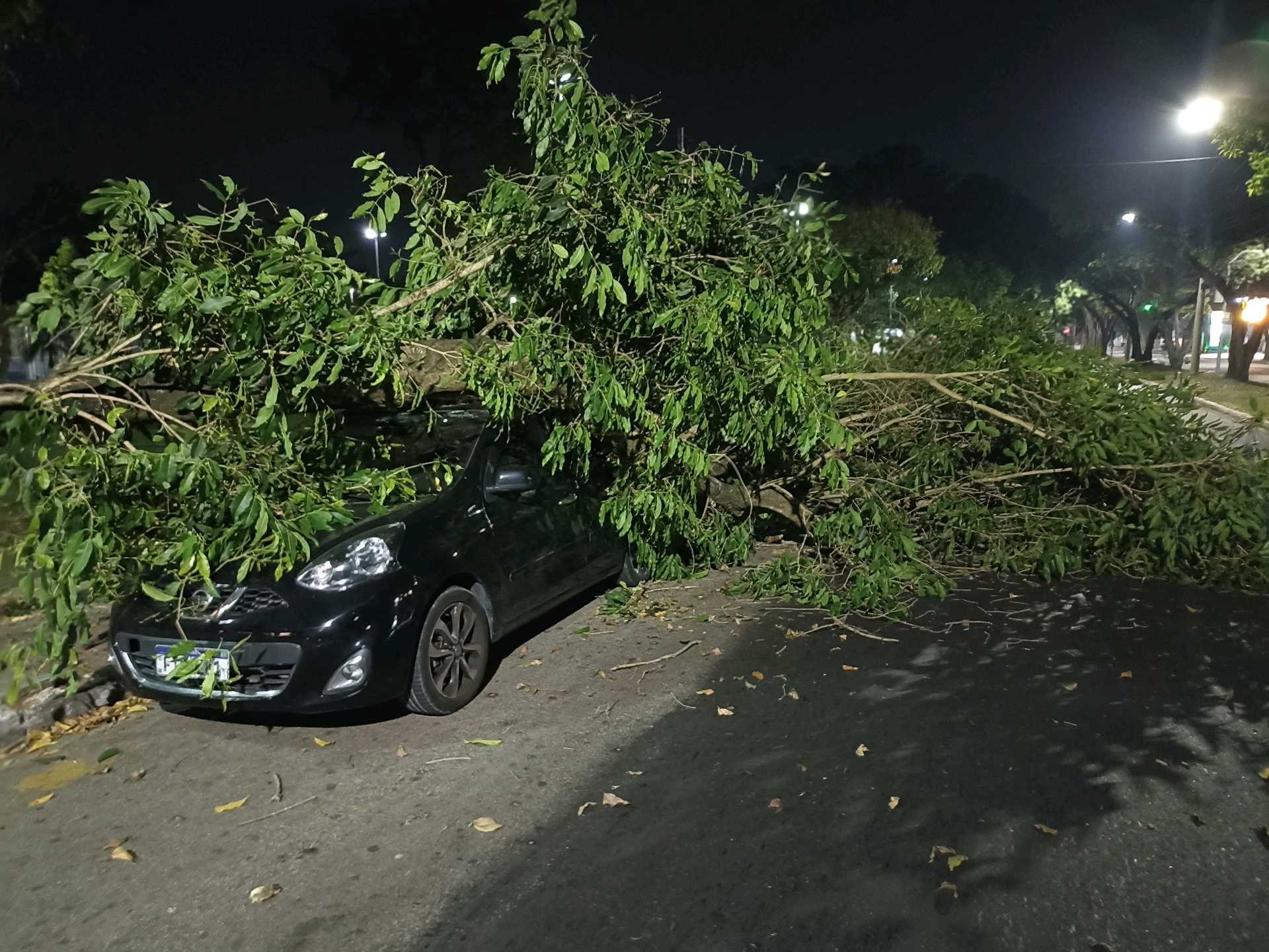 Parte de árvore cai e danifica carro na Zona Sul de São José dos Campos, SP