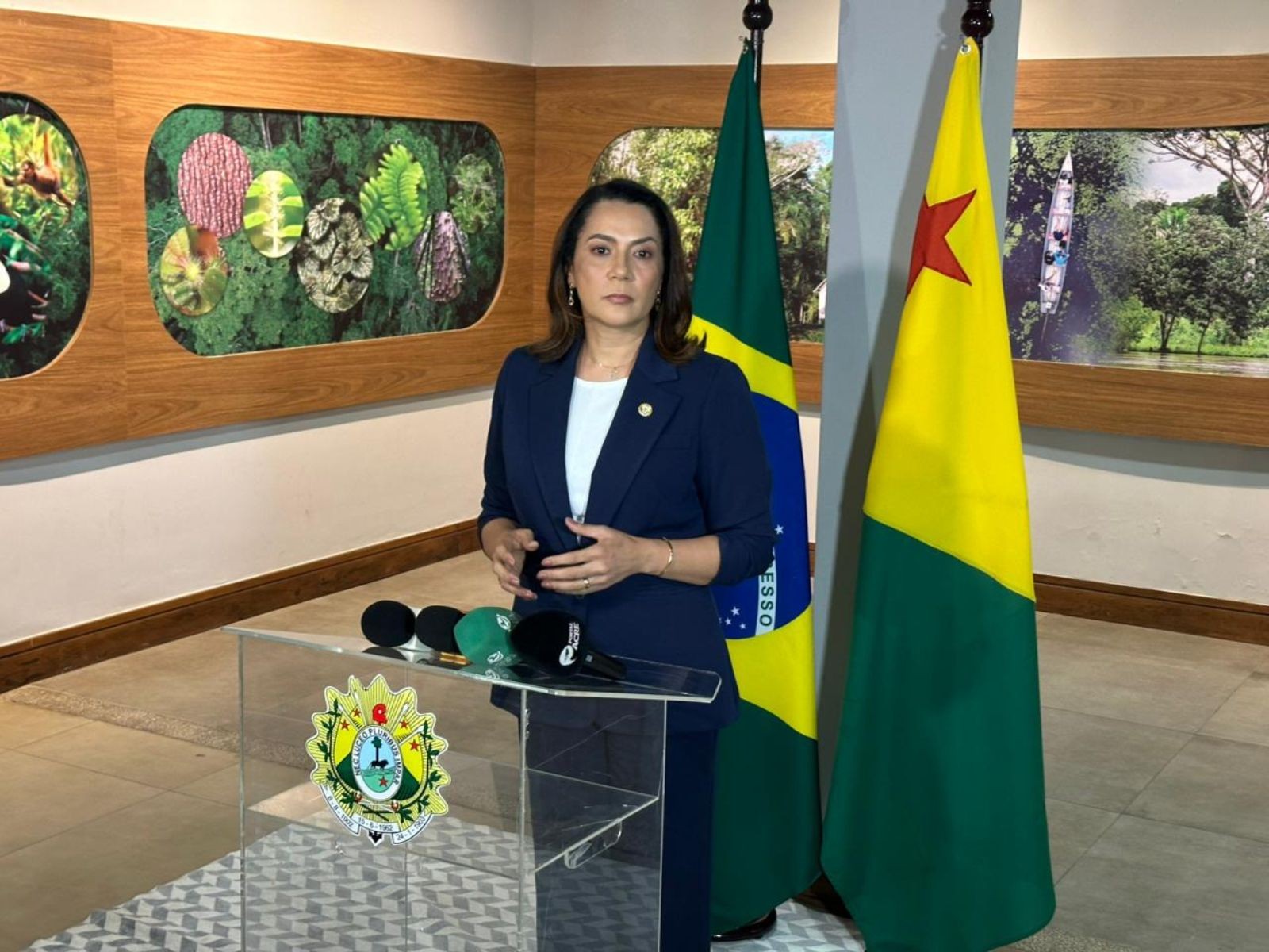 Melhorias na Saúde e manutenção de ramais: veja estratégias de gestão da governadora Mailza Assis