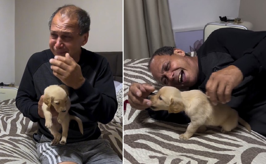 Filhote vira-lata com bilhete especial devolve sorriso a homem que tentava superar perda de cadela de 16 anos: 'Será minha extensão aí na terra'