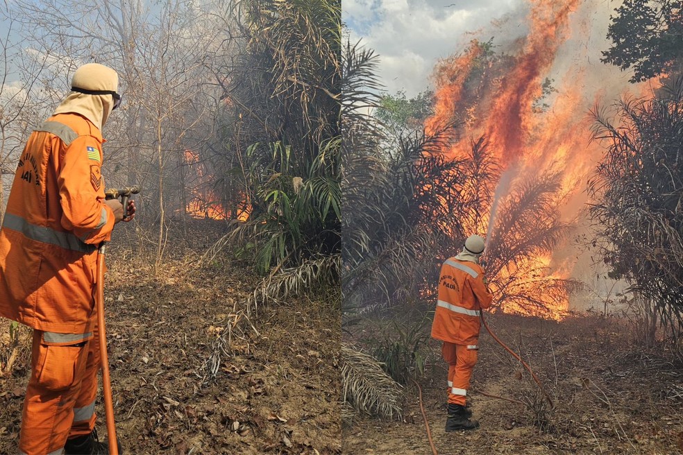 Bombeiros atuam no combate às chamas em Cocal dos Alves, no Norte do Piauí — Foto: Divulgação/CBMEPI