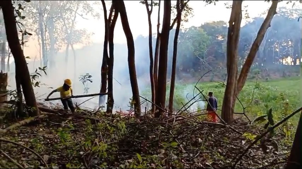 Equipes atuando no combate aos focos de incêndio na região do Rio Urubu, em Itacoatiara, na quinta-feira (22). — Foto: Liam Cavalcante/Rede Amazônica