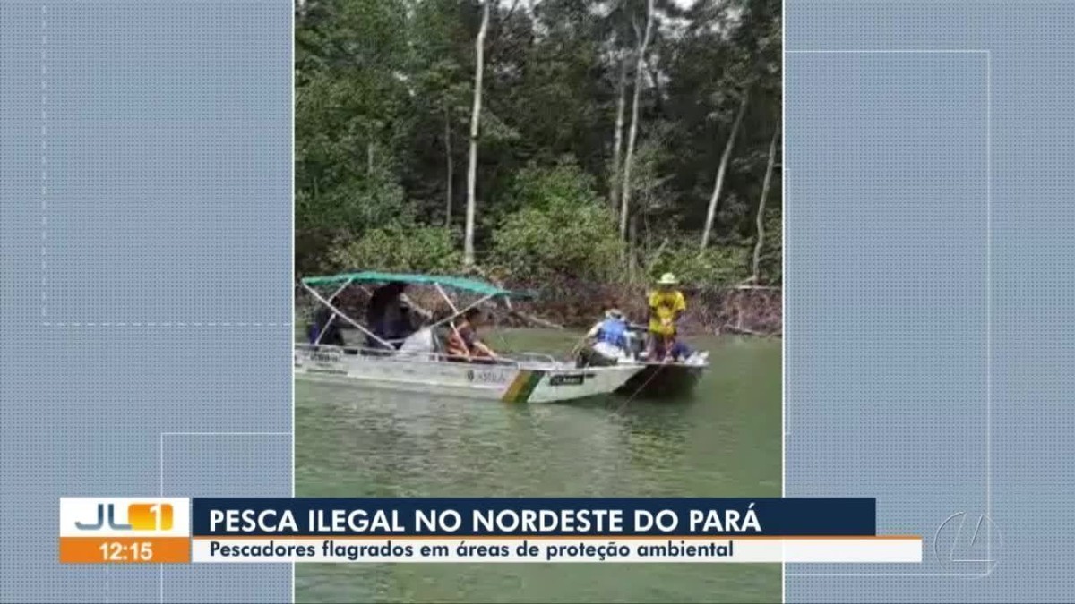 Agentes ambientais flagram pesca esportiva ilegal dentro de reserva  extrativista em Curuçá, no Pará, Pará